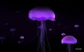 Purple Black Blue Desktop Pc And Mac Wallpaper