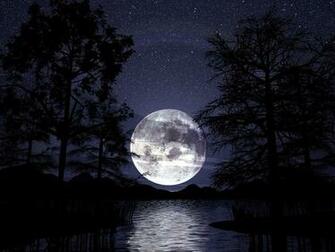 Moon Dark Trees Lake Night Desktop Pc And Mac Wallpaper