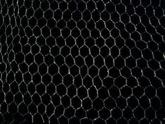 Chicken Wire By Bluecanarystock