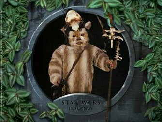 Ewoks Multim Dia Star Wars Universe