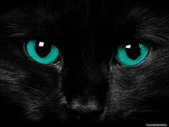 Eyes Wallpaper Wallshade Is The Best Source For Premium Desktop