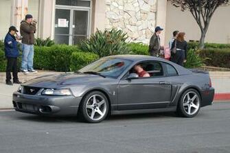 Ford Mustang Svt Cobra The Terminator Dark Cars Wallpaper