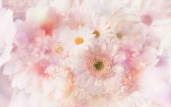 Cute Pink Flowers Wallpaper
