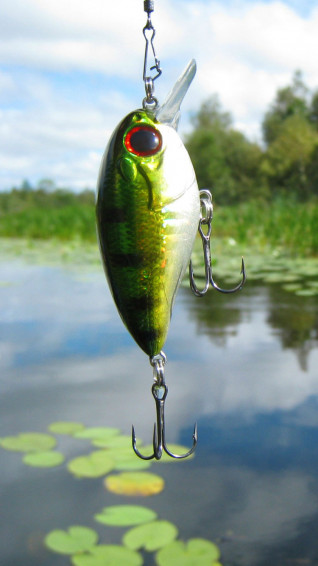 Fishing Phone Wallpaper