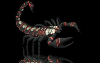 Scorpio Desktop Background Wallpaper High Definition