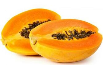 Digestive Enzyme Supplements