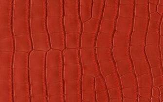 Hermes Wallpaper Katie Armour Taylor