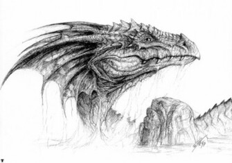 Dragon Head Sketch Fantasy Art Wallpaper With A High Quality Bob