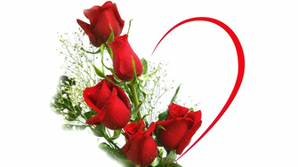 Photoz Net Wallpaper Nature Flowers