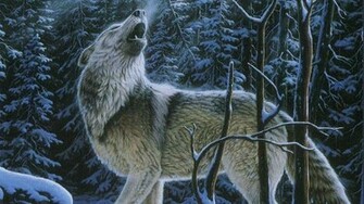 Lone Wolf Wallpaper HD Desktopinhq