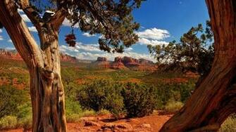 Nature Trees Red White Arizona Afternoon Sedona Wallpaper