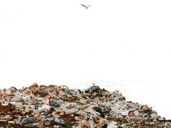 Food Waste Understanding And Climate Change