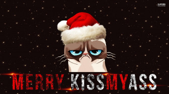 Funny Meme Wallpaper