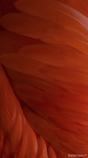 Ios Stock Wallpaper For iPhone Pack
