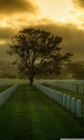 Graveyard Ultra HD Desktop Background Wallpaper For 4k UHD Tv