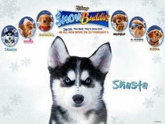 Colby Boothman Shepard Titles Movies And Posters