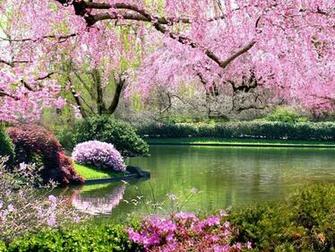 Springtime Pictures Wallpaper HD