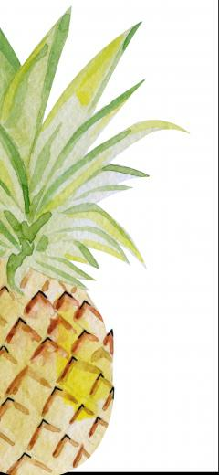 Cute Summer iPhone Wallpaper Part Ginger And Ivory