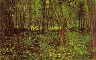 Vincent Van Gogh Wallpaper
