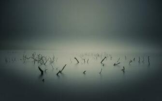 Foggy Lake HD Wallpaper Desktop Background