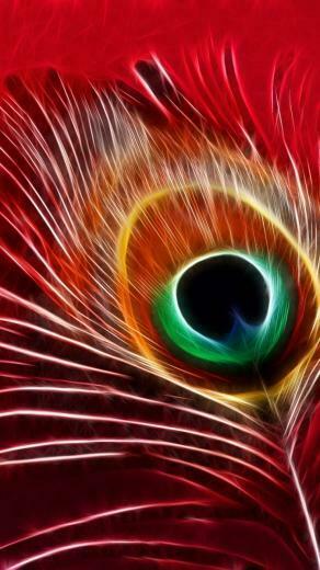 Photography Feather Wallpaper Id
