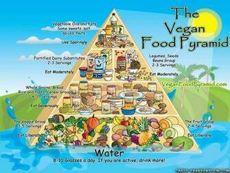 Vegetarian Food Wallpaper Crazy Frankenstein