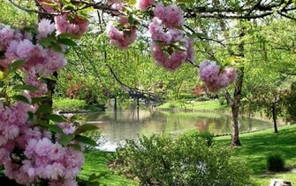 Spring Garden Wallpaper HD Desktopinhq