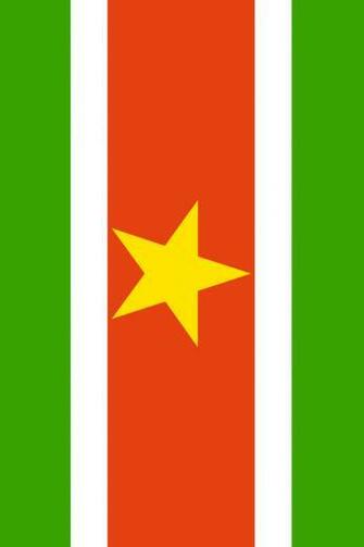 Suriname Flag iPhone Wallpaper HD