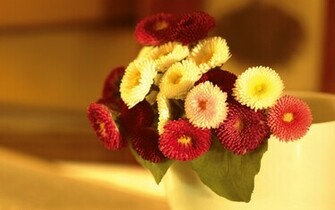 Flowers Wallpaper New