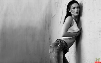 Megan Fox HD High Quality Wallpaper