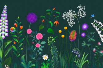Try To Spot Siri An iPhone And Apple Pencil In S