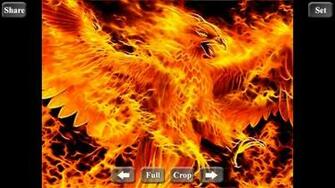 Rising Phoenix Wallpaper HD For Android Appszoom