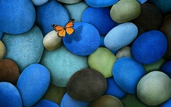 Butterfly Wallpaper Blue Cool Walldiskpaper