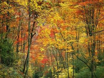 Appalachia Wallpaper