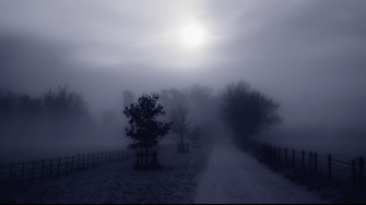 Fog Wallpaper HD
