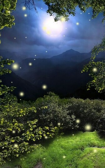 Fireflies Live Wallpaper Android Apps On Google Play