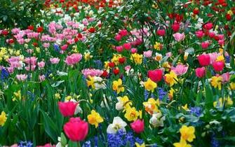 Pin Google Easter Wallpaper Wall On