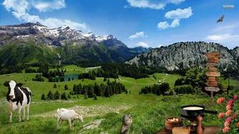 Farm Animals Wallpaper
