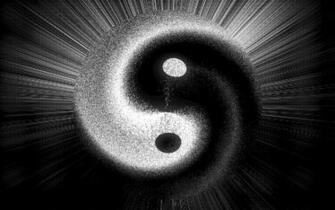Yin Yang Vortex