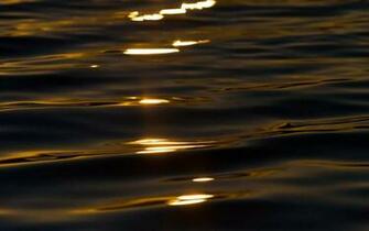 Background Golden Reflections Water Background Wallpaper