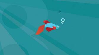 Wallpaper Windows Beta Fish By Gigagalactic