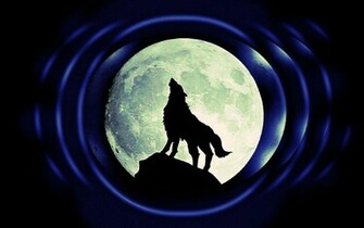 Wolf Howling At The Moon Wallpaper