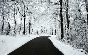 Winter Season Wallpaper Screensaver