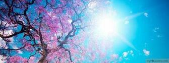 The Best Timeline Covers To Show Your Profile Unique And Beautiful Are