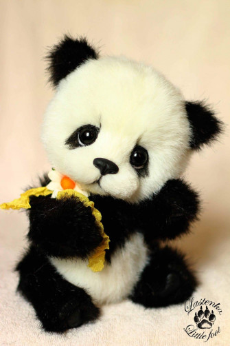 Animal Picture Cute Baby Real Too Panda Wallpaper