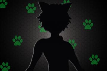 Miraculous Cat Noir Desktop Wallpaper By Iitokyorain