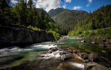 Wallpaper Forest Mountains River Canada British