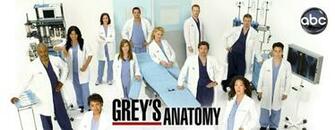 Abc Greys Anatomy Loopele