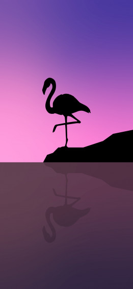 Aesthetic Minimalist iPhone Wallpaper