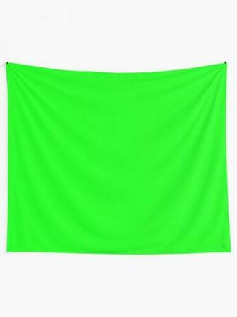 Green Screen Chroma Background For Streaming Videos Tapestry By